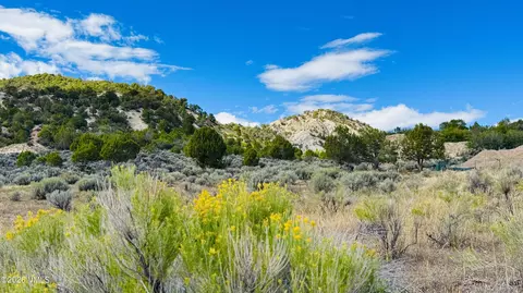 0105 Borah Spur, Eagle, CO 81631 photo 21