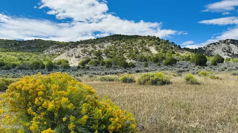 0105 Borah Spur, Eagle, CO 81631 photo 10