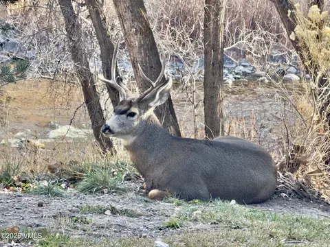 Other - 63 Christian Ct, Eagle, CO 81631 photo 5 of 10