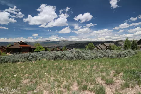 53 N Penstemon Ln, Eagle, CO 81631 photo 38