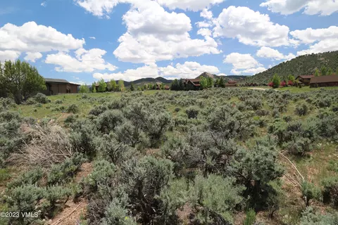 53 N Penstemon Ln, Eagle, CO 81631 photo 30