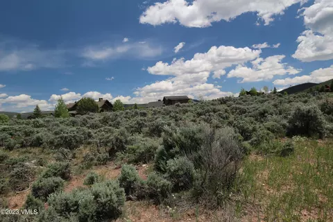 53 N Penstemon Ln, Eagle, CO 81631 photo 34