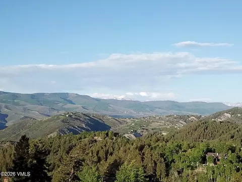 166 Peregrine Dr, Edwards, CO 81632 photo 6