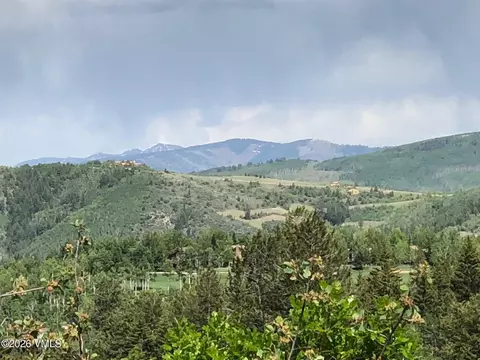 166 Peregrine Dr, Edwards, CO 81632 photo 5