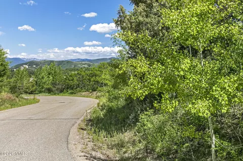 166 Peregrine Dr, Edwards, CO 81632 photo 7
