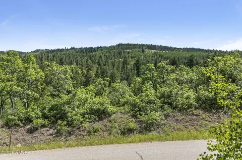 166 Peregrine Dr, Edwards, CO 81632 photo 8