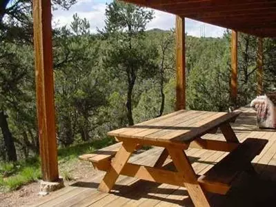 980 Mesa Dr, Eagle, CO 81631 photo 8