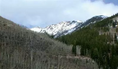 3828 Bridge Rd, Vail, CO 81657 photo 7