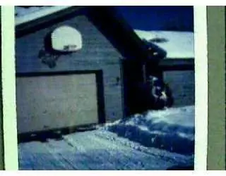 712 Bull Run, Eagle, CO 81631 photo 1