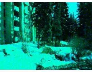 292 E Meadow Dr #222, Vail, CO 81657 photo 1