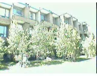 1081 Vail View Dr #B207, Vail, CO 81657 photo 1