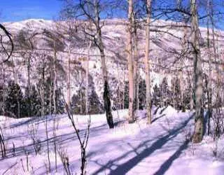 138 E Timber, Draw, CO photo 1