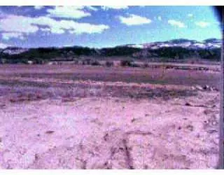 264 Ringneck, Eagle, CO 81631 photo 1
