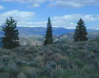 38 Settlers Loop, Edwards, CO 81632 photo 1
