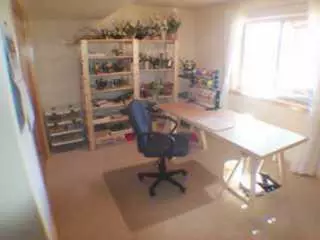 268 Ring Neck St, Eagle, CO 81631 photo 8