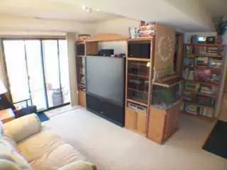 203 Golden Eagle Rd, Eagle, CO 81631 photo 3