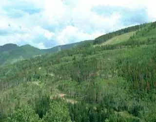 1386 Buffehr Creek Rd, Vail, CO 81657 photo 1
