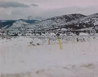 175 Harrier Cir, Eagle, CO 81631 photo 1