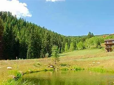 1350 Red Draw Rd, Edwards, CO 81632 photo 3