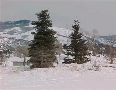 202 Sawmill Cir, Eagle, CO 81631 photo 1