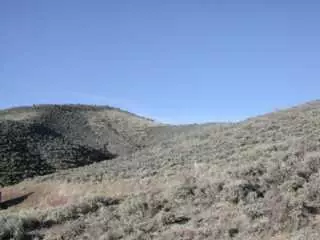 751 Singletree Dr, Edwards, CO 81632 photo 3