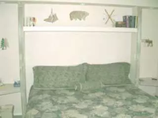 9 Vail Rd W #1C, Vail, CO 81657 photo 5