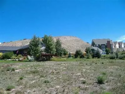 254 Ring Neck St, Eagle, CO 81631 photo 3