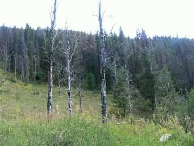 2754 Snowberry Dr, Vail, CO 81657 photo 3