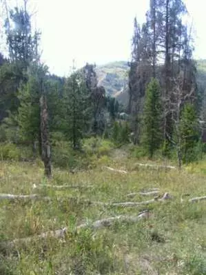 2754 Snowberry Dr, Vail, CO 81657 photo 1