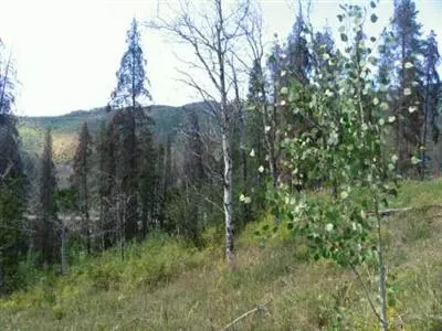 2754 Snowberry Dr, Vail, CO 81657 photo 4