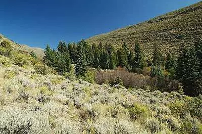 700 Timber Springs Dr, Edwards, CO 81632 photo 3