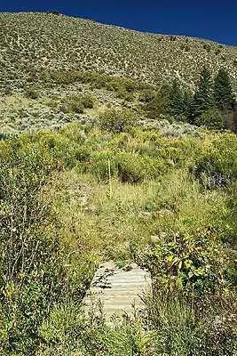700 Timber Springs Dr, Edwards, CO 81632 photo 4