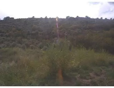 2556 Eagle Ranch Rd, Eagle, CO 81631 photo 5