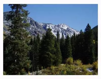 5142 Grouse Ln, Vail, CO 81657 photo 5