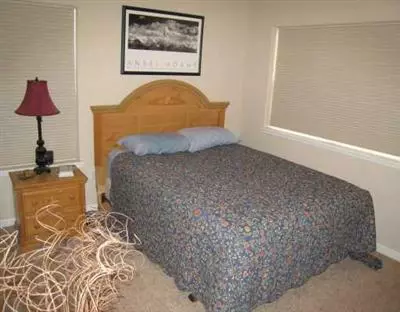 242 Longview Ave, Eagle, CO 81631 photo 8