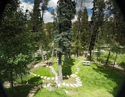 65 Eagle River Rd, Edwards, CO 81632 photo 8