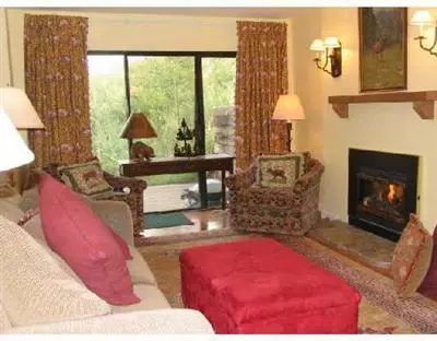980 Vail View Dr #B108, Vail, CO 81657 photo 2