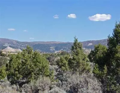 2410 E Haystacker Dr, Eagle, CO 81631 photo 3