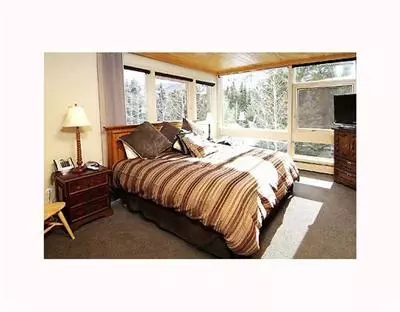360 E Lionshead Cir #12, Vail, CO 81657 photo 3