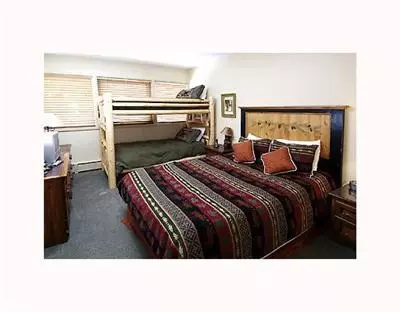 360 E Lionshead Cir #12, Vail, CO 81657 photo 9