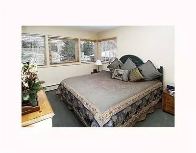 360 E Lionshead Cir #12, Vail, CO 81657 photo 8
