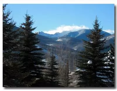 31 Singletree Rd, Edwards, CO 81632 photo 2