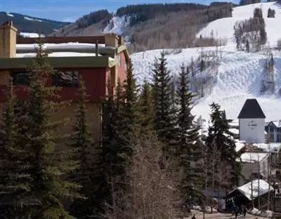 292 E Meadow Dr #455, Vail, CO 81657 photo 14