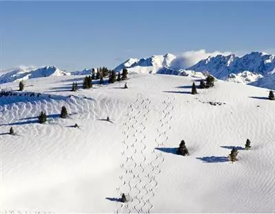 292 E Meadow Dr #455, Vail, CO 81657 photo 16