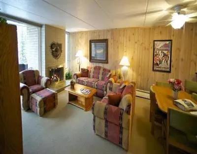292 E Meadow Dr #455, Vail, CO 81657 photo 6