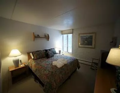 292 E Meadow Dr #455, Vail, CO 81657 photo 8