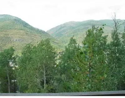 1941 Alpine Dr, Vail, CO 81657 photo 2