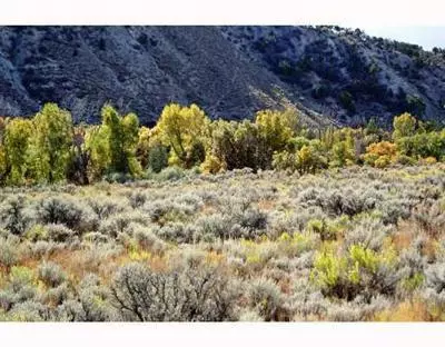 916 Hernage Creek Rd, Eagle, CO 81631 photo 2