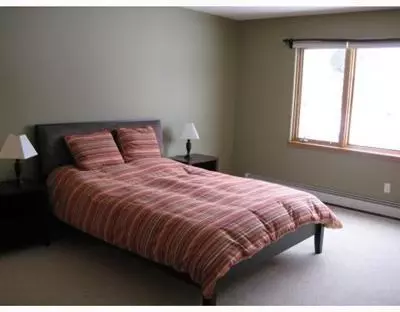 491 Neilson Gulch Rd, Eagle, CO 81631 photo 5