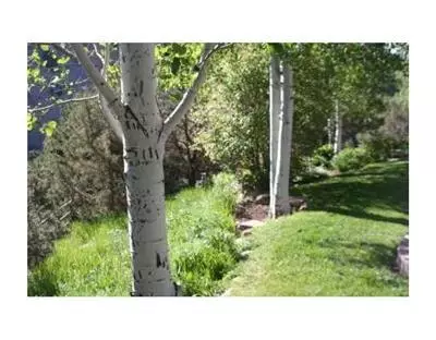 205 Castle Peak Rd, Eagle, CO 81631 photo 6